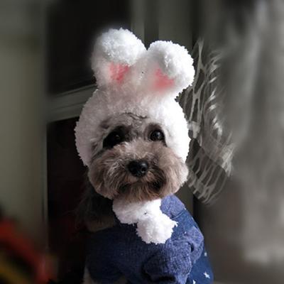 Sombrero de Conejo de Terciopelo Coral para Mascotas Sombrero de Disfraz Sombrero de Gato Caliente y Cómodo Adorno para la Cabeza con Orejas de Conejo Sombrero para Perro Accesorios para Gatos Mascota
