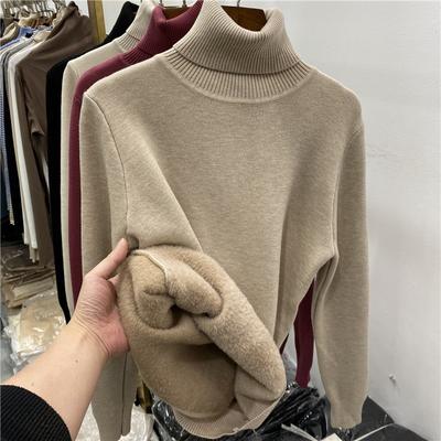 Autumn Winter Thick Warm Velvet Turtleneck Women's Sweater Long Sleeve Solid Plush Pullover Sweaters Women Slim Fit Casual Lady Knitwear Jumpers 25196