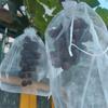 100 uds. Bolsas Transpirables para Uvas y Frutas, Malla Protectora para Uvas, Para Control de Plagas, Anti-Pájaros