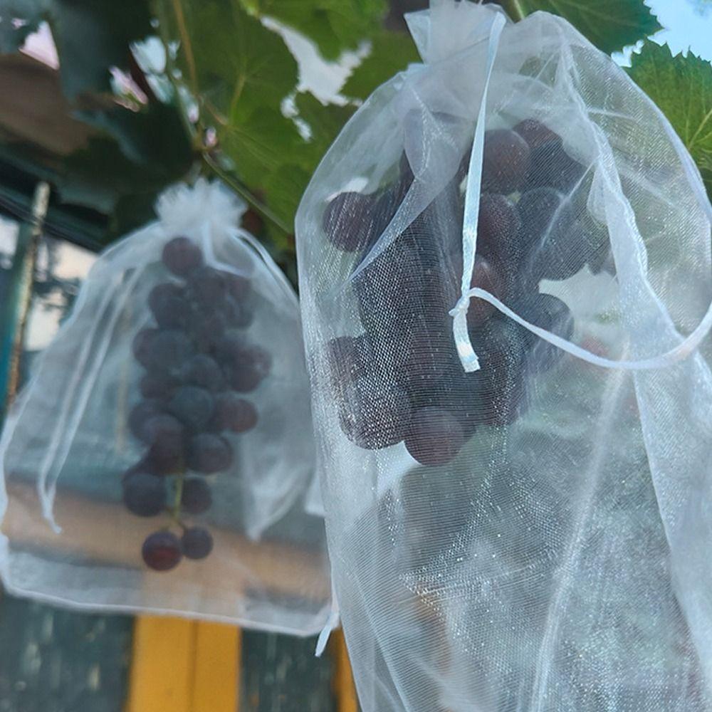 100 uds. Bolsas Transpirables para Uvas y Frutas, Malla Protectora para Uvas, Para Control de Plagas, Anti-Pájaros