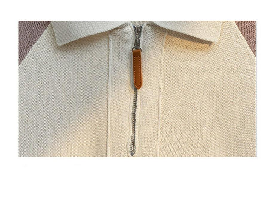 Heren V-hals Trui in Hongkong Stijl: Herfst/Winter Gebreide Polo Top met Kraag voor Tieners