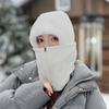 MEET SUNNY Women's Winter Cycling Warm Balaclava