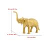 Gold s Figurines Toys 8Pcs Jungle  Figures Wild Plastic s