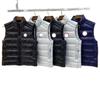 Big Goose 2229 Unisex Shiny Down Vest: Trendy, High-End Winter Jacket