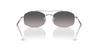 Sunglasses RB3719 SILVER 51 [Ray-Ban]
