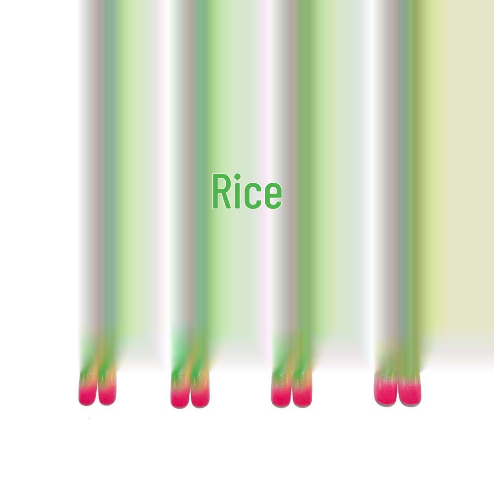 Stylish European & American Ombre Gradient Long Pointed False Nails - Multi-colored Wearable Nail Art