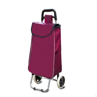 Foldable Shopping Cart Storage Bag with Waterproof Fabric And Multiple Compartments