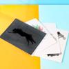 Educational Science Light Diffraction Animation Craft Kit For Children Hands On Science