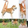 Lightweight Build Dog Lift Harness Breathable Mesh Dog Support Strap  Injury Assistance