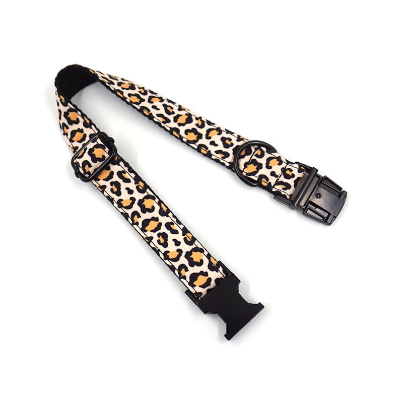 Black Buckle Dog Collar & Leash - Trendy Cross-border Pet Walking Set