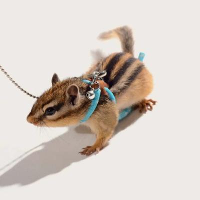 1pc-Adjustable Soft Harness And Leash Set With Bell For Small Pets - Anti Bite,  - Ldeal For Hamsters, Parrots, Mice & Rats