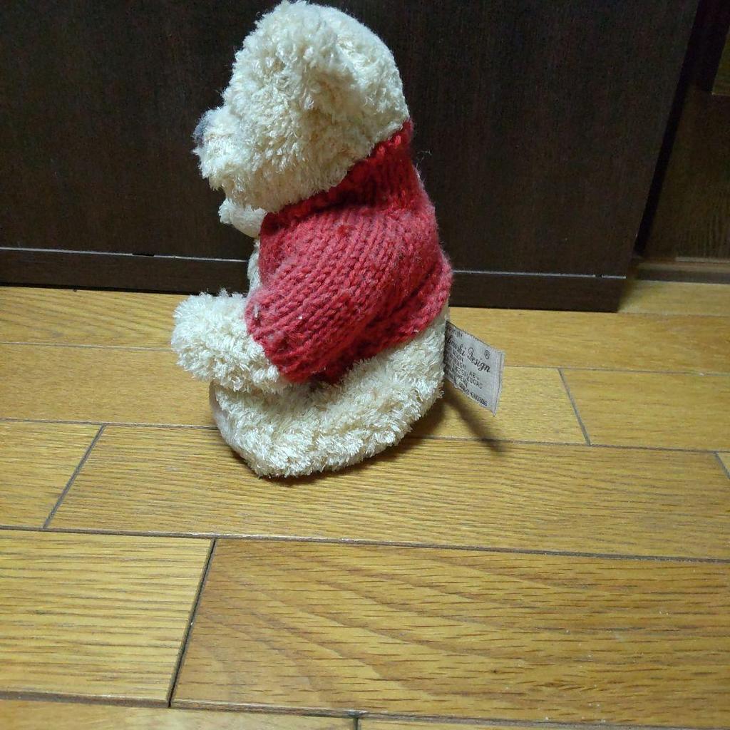 [USED] Poland Teddy Bear