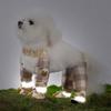 Full Leg Protection Reflective Stripe Pet Pants Adjustable Dog Jumpsuit Shoes  Walking