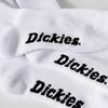 Dickies Logo Embroidered Pile Bottom High Socks Long Length White Men's 3-Pack 23-25cm Women's 3-Pack