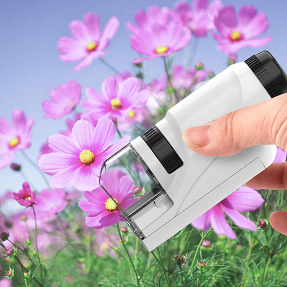 60x-120x Tragbares Mikroskop mit LED-Licht Handmikroskop Little Scientist Mikroskop Wissenschaftliches Spielzeug für Kinder