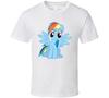 Unisex Shirt Cotton Oversize Large Size My Little Pony: Friendship Is Magic Rainbow Dash