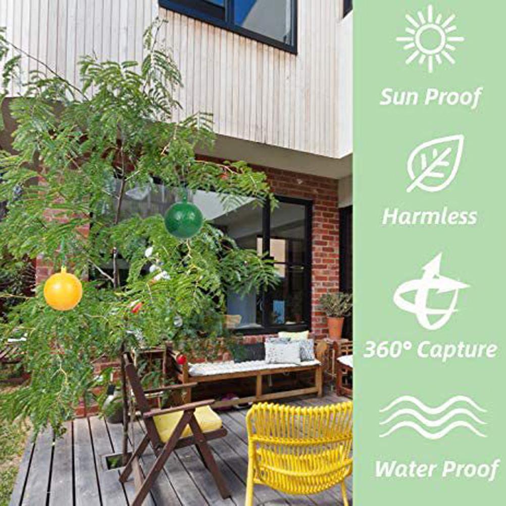 10Pcs Fruit Fly Trap with Sticky Gnat Killer Fruit Fly Traps Effective Fly Catcher Insect Trap for