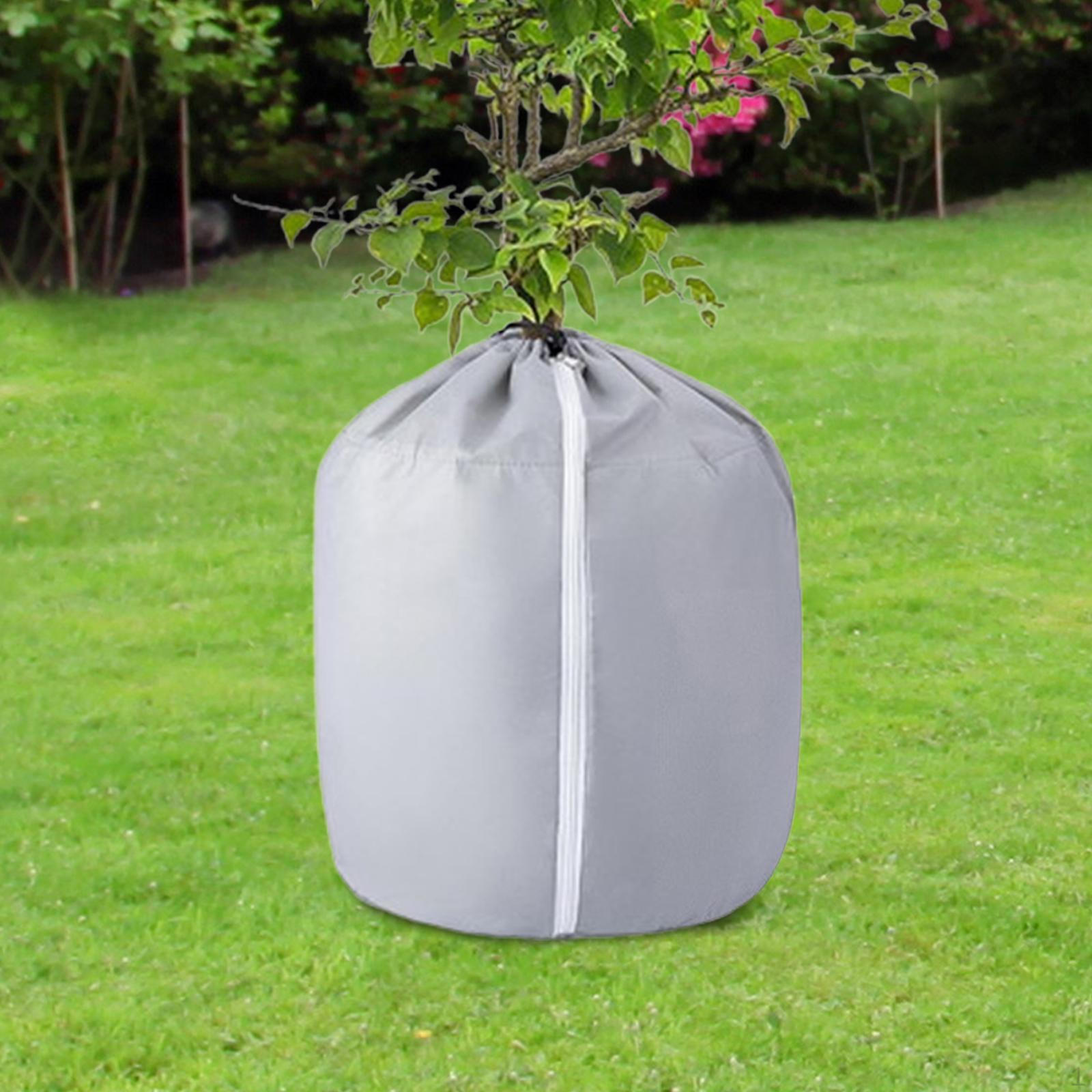 

Укрытие для растений от холода M