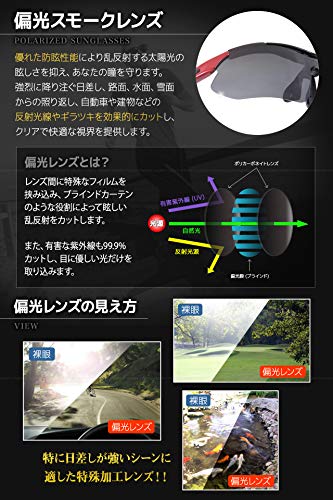 FERRY Polarized Lens Sports Sunglasses Full Set 5 Replacement Lenses Unisex 7 Colors
