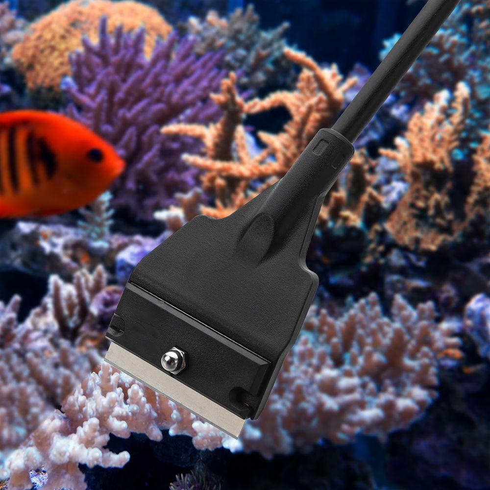 

Очистка от царапин Скребок для водорослей Аквариум Аквариум Аквариум Скребок Водоросли Скребок Нержавеющая сталь Чистая щетка