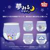 Pants Larger than Big MamyPoko Doraemon Nighttime Pants Diapers 22 pieces [Nighttime - Size] (13-28kg)