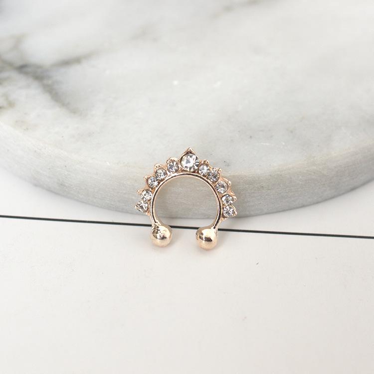 B044 Trendy Korean Ear and Nose Accessories: 2022 Women's Temperament Cartilage Stud Earrings