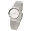 Skagen Women's Watch, SKW2715, Silver [Parallel Import]