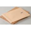 King Corporation Envelopes, Storage Type, A3 Size, with Eyelets, 10 Pack, Kraft Paper, KA3KHH120