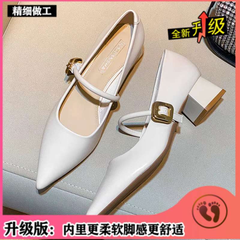 Xiaoxiangfeng Mary Jane thick-heeled single shoes women's 2025 new pointed French retro soft leather one-word with high heels