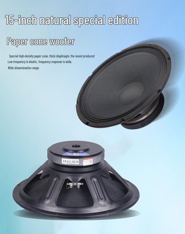 Compact Pull-Rod Suitcase Speaker with High Power, 10''/12''/15'' Sizes, 4-Ohm Imported Bass, Full-Range Sound