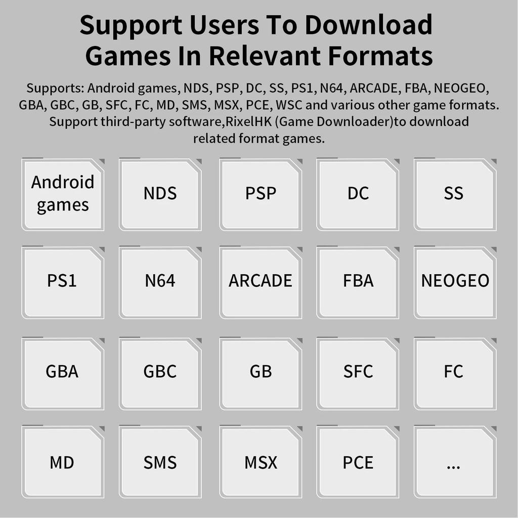 Anbernic RG DS Gamepad