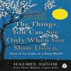 The Things You Can See Only When You Slow Down Paperback