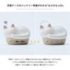 Radius Tws Neko Hp C28bt True Wireless Earphones Bluetooth Lightweight Compact