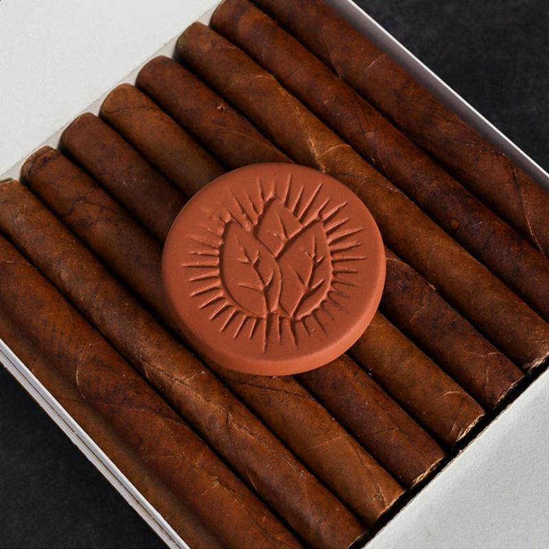 10pcs Easy to Use Smoke Cigars Humidifier Moisture Pads for Enthusiasts