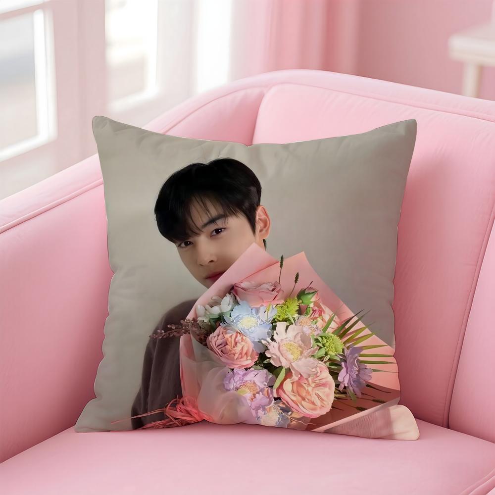 

C-Cha E-Eun Woo Чехол для кушона Удобный двусторонний чехол для подушки Идеально подходит для автомобиля, дивана, спальни и т. д. 12x12Inch