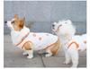 Summer Sleeveless Cat Vest - Lightweight Anti-Shedding Cotton for Ragdoll & Blue Cats