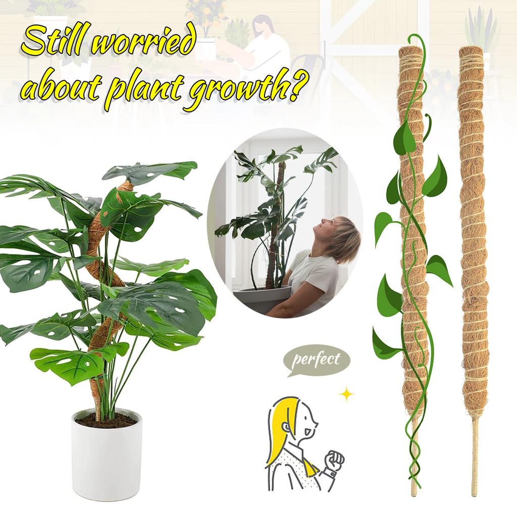Plant Climbing Frame Coconut Shell Moss Palm Cane Gardening Coconut Rod Stretch Plant Climbing Pole Indoor Plant Creeper