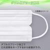 IRIS OHYAMA Nonwoven Pleated 120 Large Regular Comfortable Smart Basic Masks, Count, Capacity, Size, 16.5cm Wide, Ears, White,