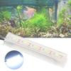 White Light Aquarium LED Light Soft LED Lighting USB Powered USB Aquarium Light Small Size Betta Fish Tank Light Fish Tank