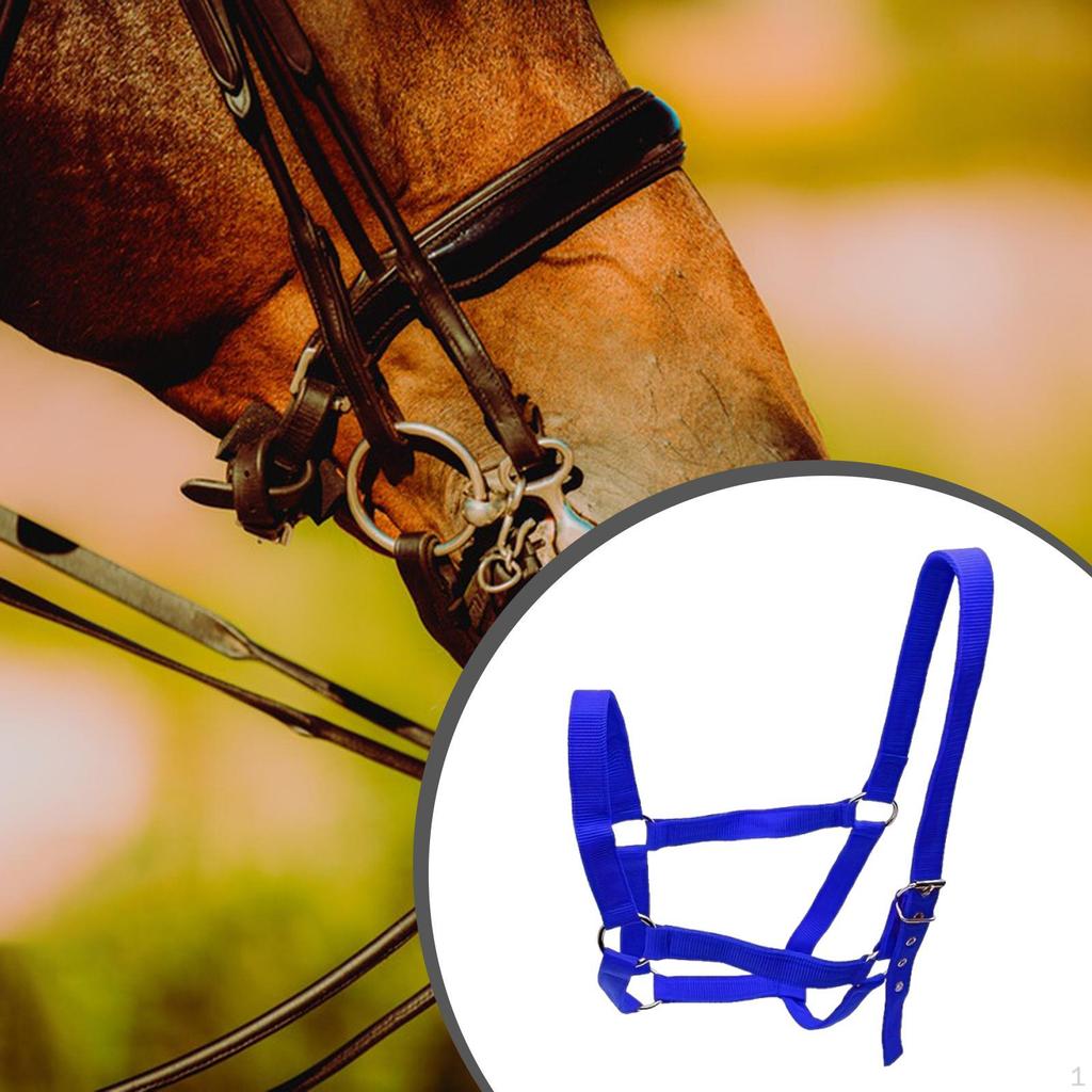 Horse Halter Wear Resistant Rope Chin and Throat Snap for Contest Practice