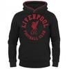 Men's Graphic Fleece Hoodie
