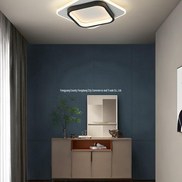 Nordische minimalistische Deckenleuchte für Flure, Eingänge, Balkone und Garderoben - Schwarz-Weiß-Design.