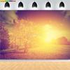 Vibrant Autumn Landscape Photography Backdrops Colorful Falling Leaves Natural Forest Blurry Sunlight Park Lake Background MO-07