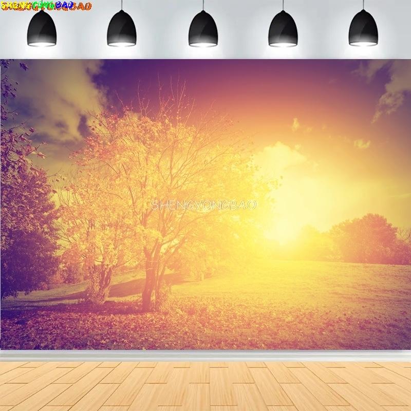 Vibrant Autumn Landscape Photography Backdrops Colorful Falling Leaves Natural Forest Blurry Sunlight Park Lake Background MO-07