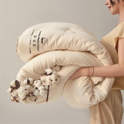Muji Style Xinjiang Cotton Winter Quilt