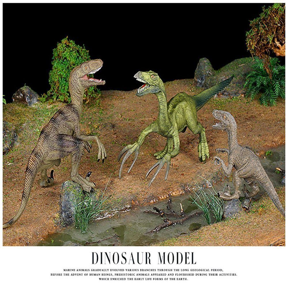 Multiple Sizes Jurassic Dinosaur Realistic Tyrannosaurus Dinosaur Model  Scene Decoration