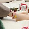 Monglemas Women's Christmas Socks