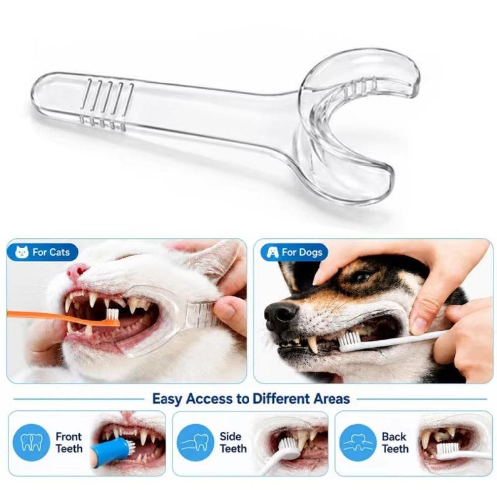3/4Pcs Reusable Teeth Cleaning Tools Convenient Pet Tooth Brushing Helper Pet Oral Care Home Use