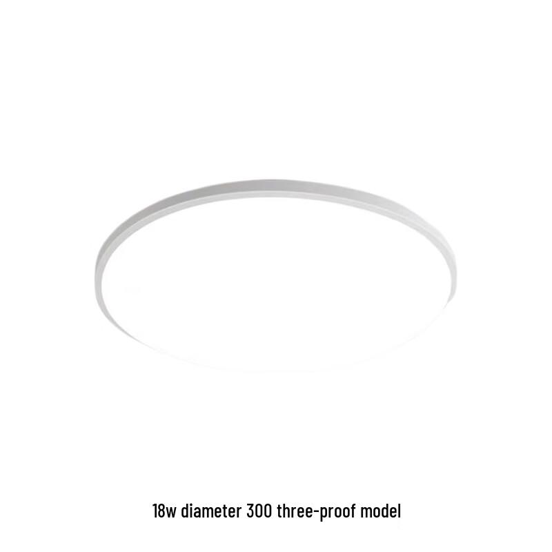 OSZN LED Ceiling Light