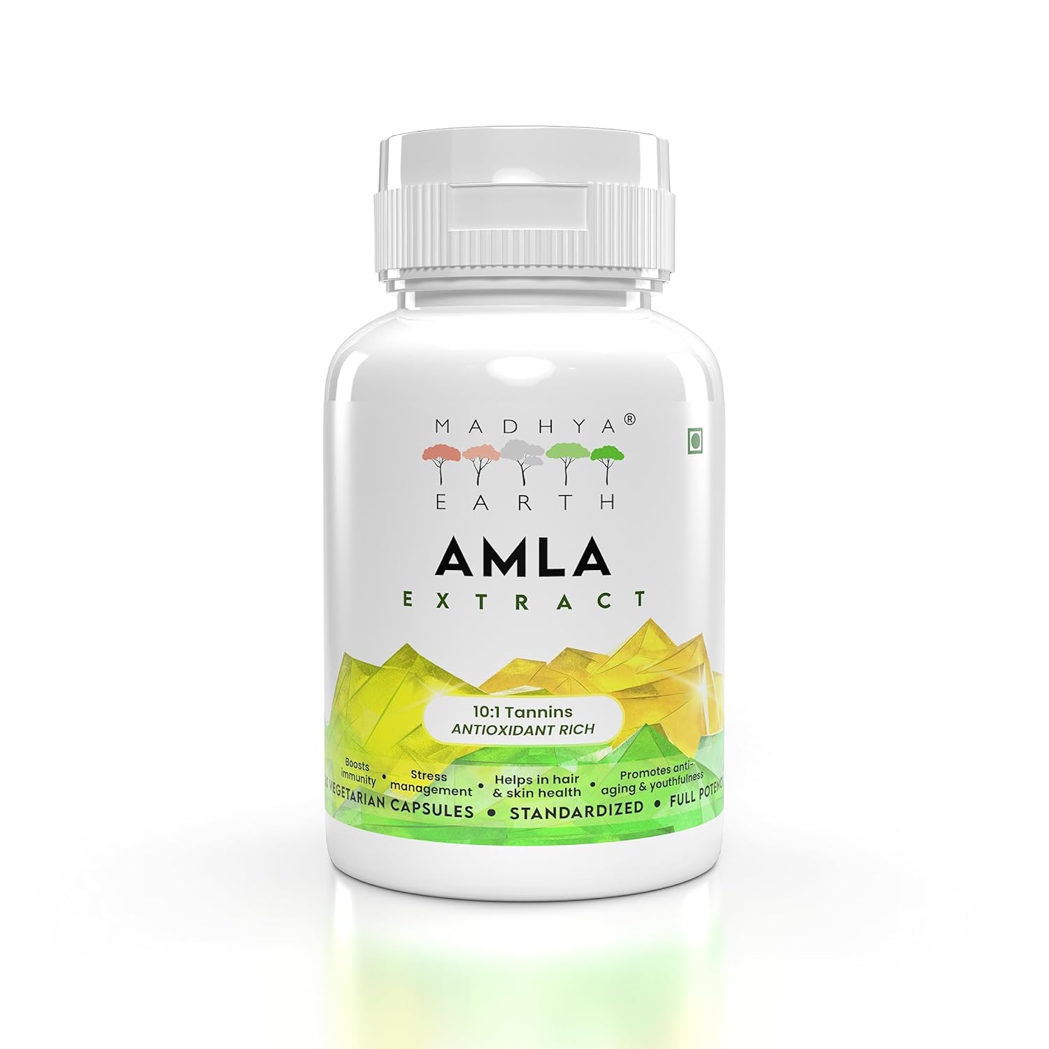 

Madhya Earth Amla Extract , 10:1 Tannins Immunity Booster | 60 Veg Capsules 100gm 0.2lbs